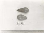 Click for 1 image(s) for this accession. FRUIT